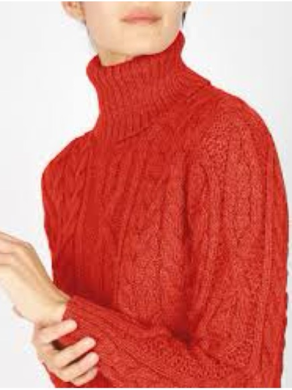 100% Pure Cashmere NWOT Autumn Cashmere Red/Orange Cable Turtleneck Sweater